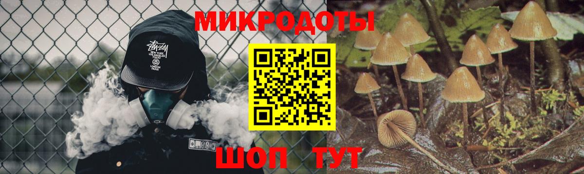 Калуга  Псилоцибиновые грибы Psilocybe  Вход с VPN 